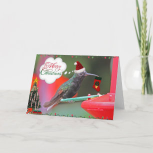 Cartão De Festividades Colibri do Feliz Natal