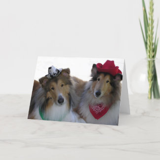 Cartão De Festividades Collie Cowpokes All Occasion Card