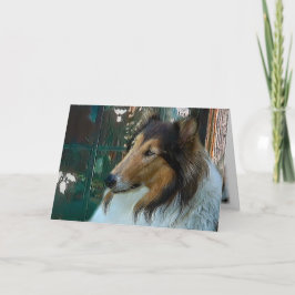 Cartão De Festividades Collie de Natal na Janela