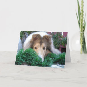 Cartão De Festividades Collie Holiday Card