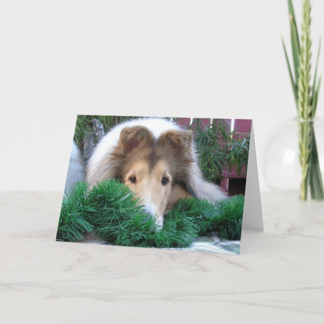 Cartão De Festividades Collie Holiday Card (Frente)