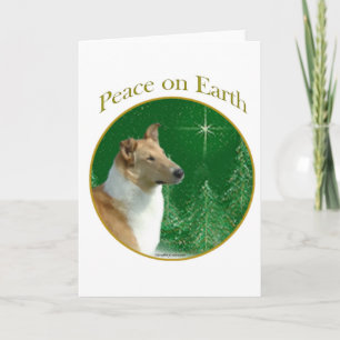 Cartão De Festividades Collie Peace
