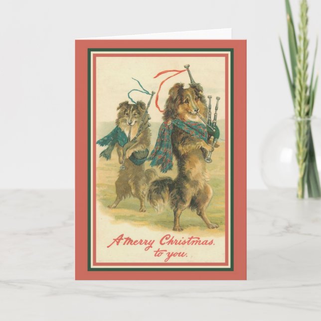 Cartão De Festividades Collies Playing Bagpipes (Frente)