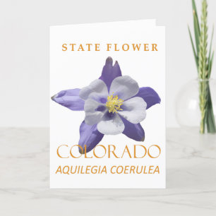 Cartão De Festividades Colorado Território Flor Azul Aquilia coerulea
