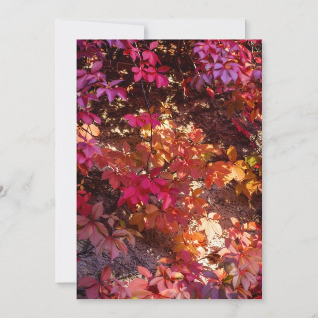 Cartão De Festividades Colorful autumn leaves (Frente)
