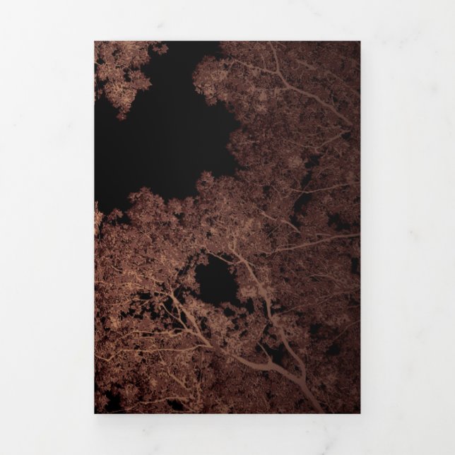 Cartão De Festividades Com Dobra Tripla Mapa de Árvores 5 (Cobrir)