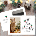 Cartão De Festividades Coma o sono Seja Feliz Pet Foto do Natal<br><div class="desc">Cartão-modelo de Pet Photo de Natal bonito com texto engraçado em um roteiro de caligrafia elegante moderno que diz "comer, dormir e ser feliz". Há uma ilustração aquosa de um holly vermelho e verde entre o texto que se parece com uma árvore de Natal! Adicione sua foto de cachorro ou...</div>