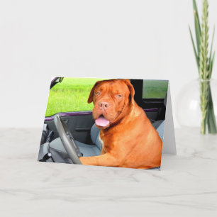 Cartão De Festividades Conduza à alegria cão dogue de Bordéus da paz d