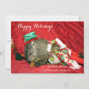 Cartão De Festividades Convite/Cartões de fotos de Natal Bessie e Bluste