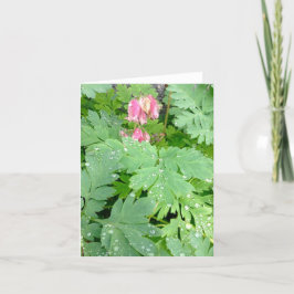 Cartão De Festividades Coracao Sangrando