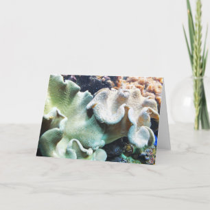 Cartão De Festividades Coral de couro de ferramentas