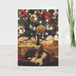 Cartão De Festividades Corgi Christmas Card