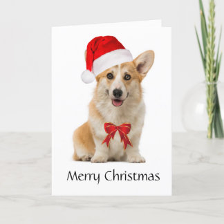 Cartão De Festividades Corgi Christmas card