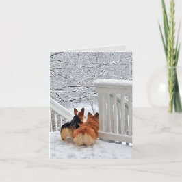 Cartão De Festividades Corgis na Neve