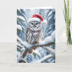 CARTÃO DE FESTIVIDADES CORUJA-BARRADA DE NATAL - FAUNA SELVAGEM