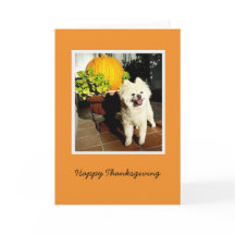 Cosmo, o Dia de Ação de Graças