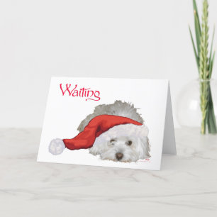 Cartão De Festividades Coton de Tulear - Esperando