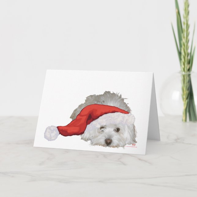 Cartão De Festividades Coton de Tulear - Esperando (Frente)