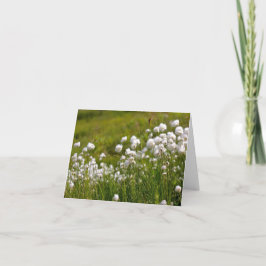 Cartão De Festividades Cotton Grass Meadow - 4" x 5.6" Notecard