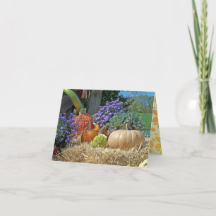 Cartão De Festividades Country Life Autumn Gourds Happy Thanksgiving