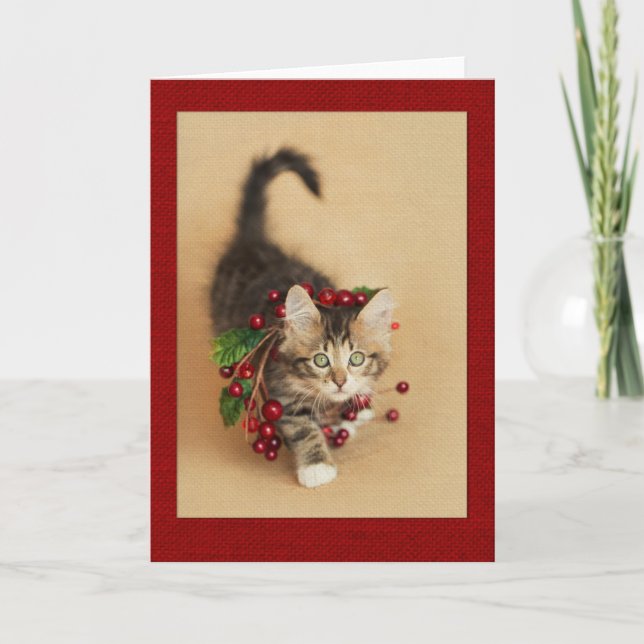 Cartão De Festividades Cranberry Kitten (Frente)