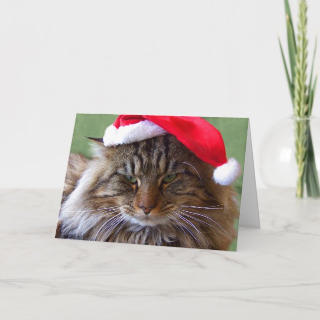 Cartão De Festividades Cranky Christmas Cat Card (Frente)