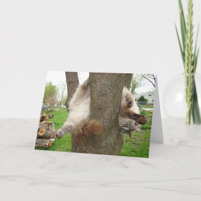 CARTÃO DE FESTIVIDADES CRAZY CAT VALENTINES CARD (Frente)