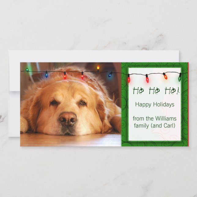 Cartão De Festividades Create your own pet photo holiday card (Frente)
