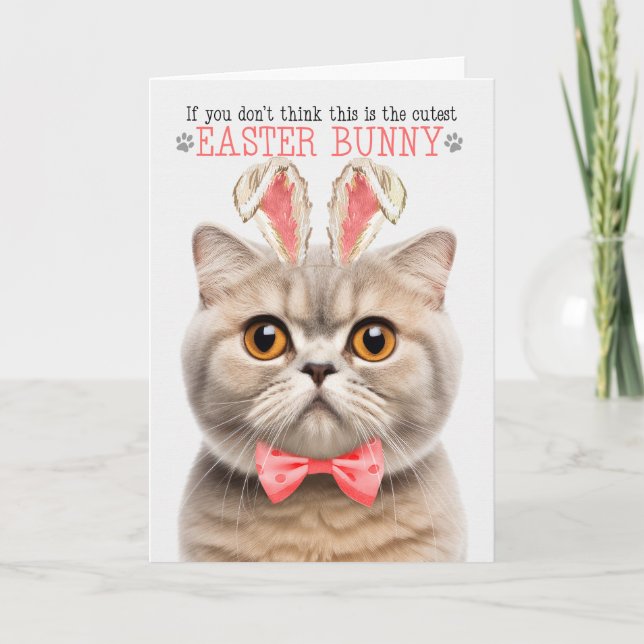 Cartão De Festividades Creme Scottish Fold Cutest Easter Bunny Gatinho Pu (Frente)
