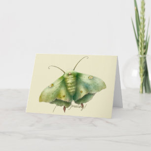 Cartão De Festividades Crie a sua fantasia verde Moth
