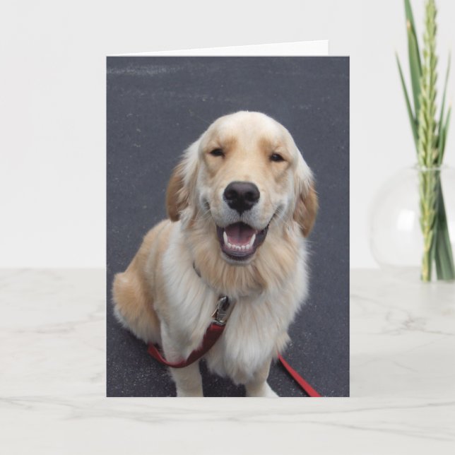 Cartão De Festividades Crie suas próprias expressões! Ferramentas fáceis  (Frente)