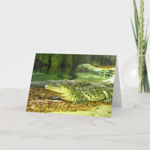 Cartão De Festividades Crocodilo cubano