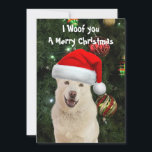 Cartão De Festividades Crystal's The Rouco Dog Christmas Card<br><div class="desc">Foto de Crystal,  parecendo feliz e animado para o Natal</div>