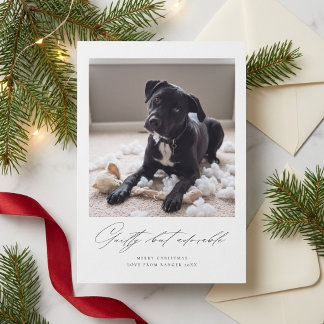 Cartão De Festividades Culpado Mas Adorável | Foto Engraçada de Cachorro 
