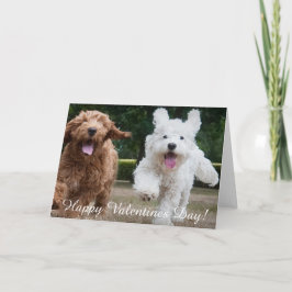 Cartão De Festividades Cuppias de Cockapoo Adoráveis | Placa de dia de os