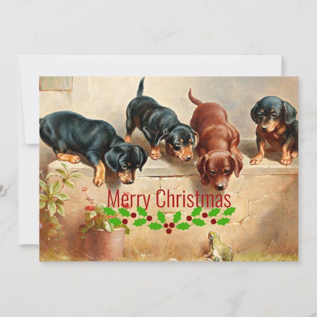 Cartão De Festividades Curioso Dachshund Puppies e um Sapo, Natal. (Frente)