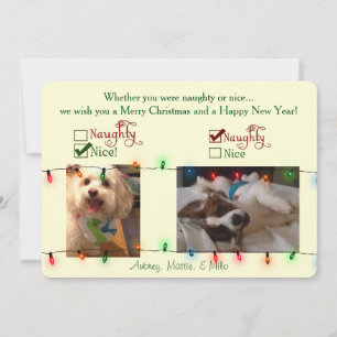 Cartão De Festividades Custom Christmas Dog Card