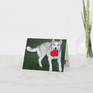Cartão De Festividades Customizable Siberian Husky with Red Heart