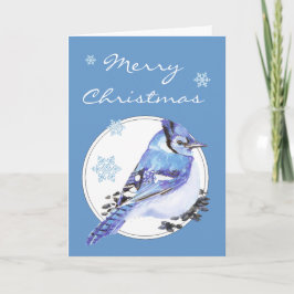 Cartão De Festividades Customize Christmas Blue Jay, Watercolor Bird