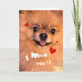 Cartão De Festividades Cute Adorable Pet Pomeranian Sweetheart Valentine