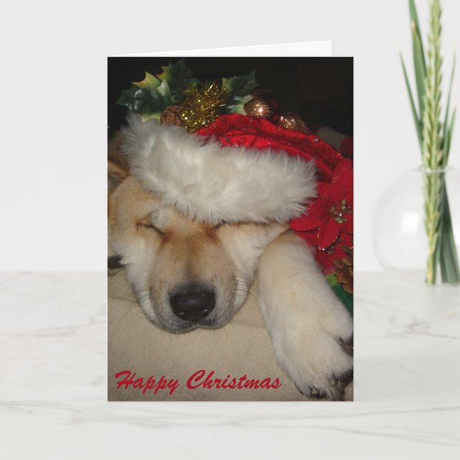 Cartão De Festividades Cute akita dog asleep santa hat tinsel christmas (Frente)