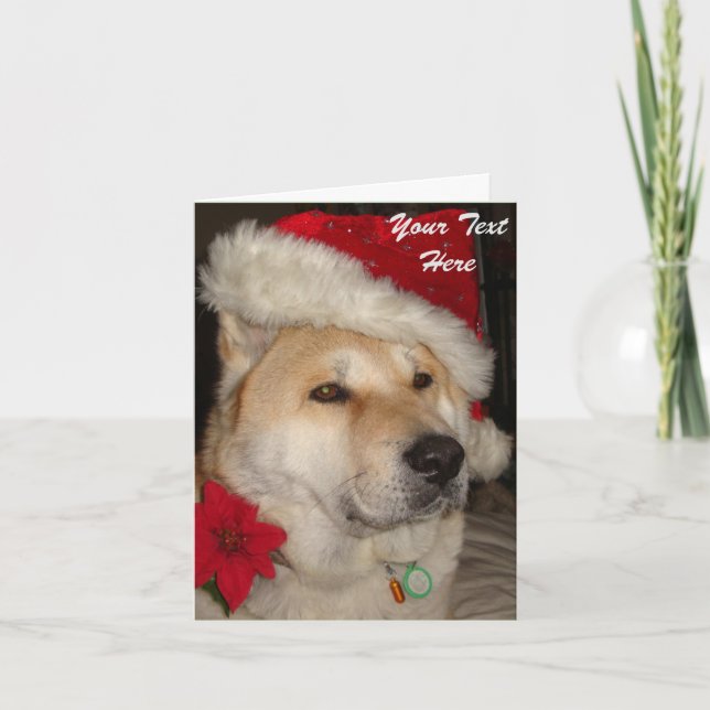 Cartão De Festividades Cute akita dog red santa hat pointsettia christmas (Frente)