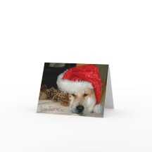 Cute akita dog red santa hat with christmas cones