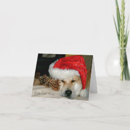 Cartão De Festividades Cute akita dog red santa hat with christmas cones