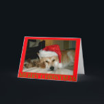 Cartão De Festividades Cute akita in santa hat and cones for christmas<br><div class="desc">The name of this pretty and very cute Japanese akita is on this great Christmas cad is named Asia, she is a red akita, part American type akita and part Japanese type akita. Asia is a rescue dog and this was her first Christmas, she looks nice and relaxed in the...</div>