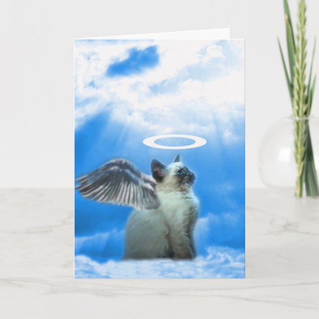 Cartão De Festividades Cute Cat Kitten Christmas Card (Frente)