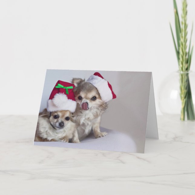 Cartão De Festividades Cute chihuahuas Christmas Card (Frente)