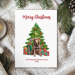 Cartão De Festividades Cute Chocolate Lab Personalizado Natal Cachorro