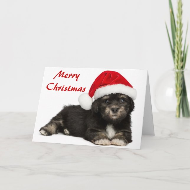 Cartão De Festividades Cute Christmas Havanese Puppy Dog (Frente)