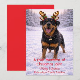 Cartão De Festividades Cute Dog Christmas Sweet Quote | Holiday Card